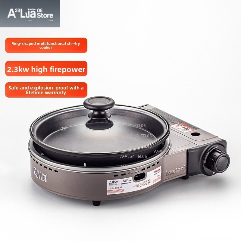 Portable Windproof Gas Stove B - Outdoor Camping Burner recension och pris