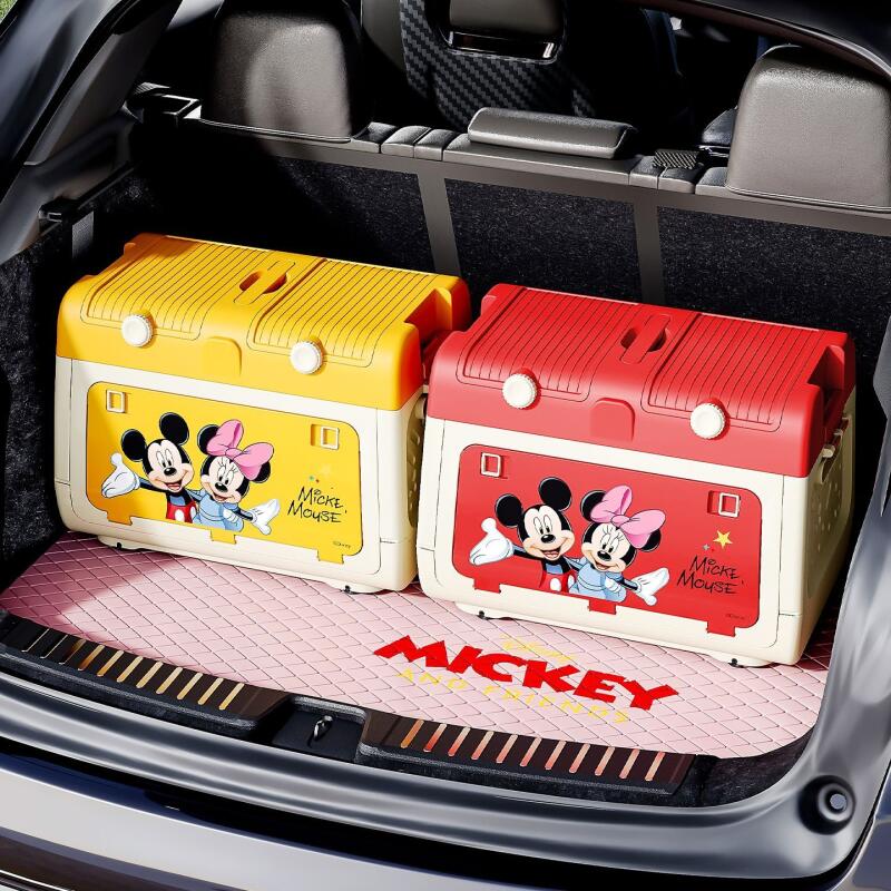 Disney Genuine Authorized Outd - Outdoor Camping Storage Box recension och pris