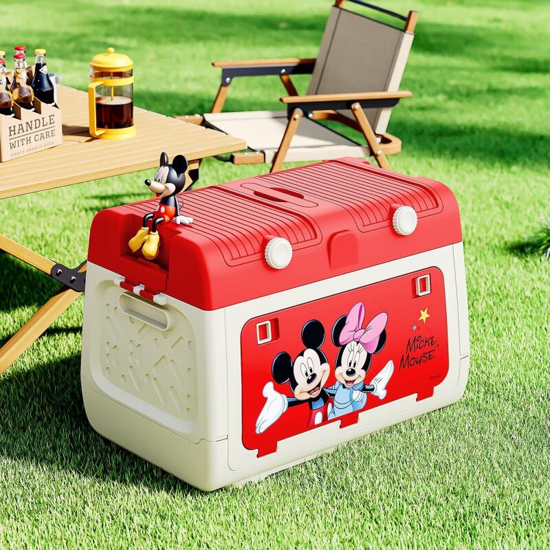 Disney Genuine Authorized Outd - Outdoor Camping Storage Box recension och pris