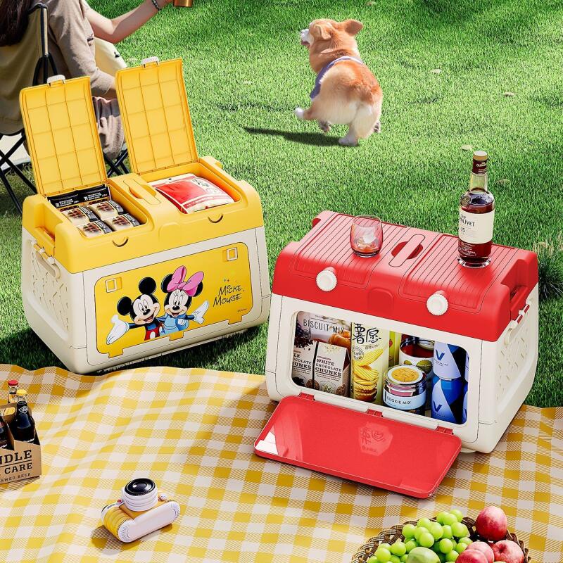 Disney Genuine Authorized Outd - Outdoor Camping Storage Box recension och pris