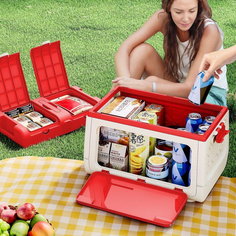 Disney Genuine Authorized Outd - Outdoor Camping Storage Box recension och pris