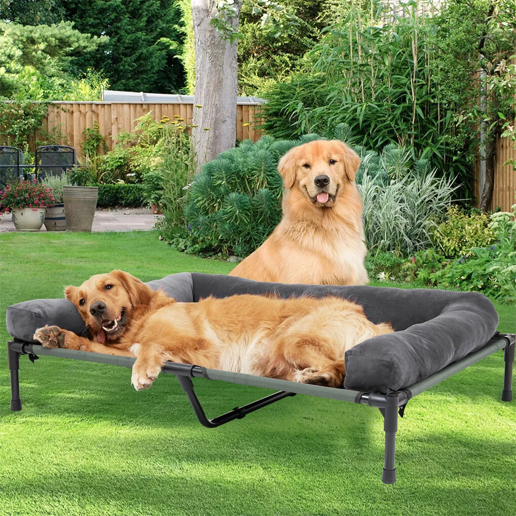 BINGOPAW Outdoor Dog Bed Eleva - Bed Outdoor Camping recension och pris