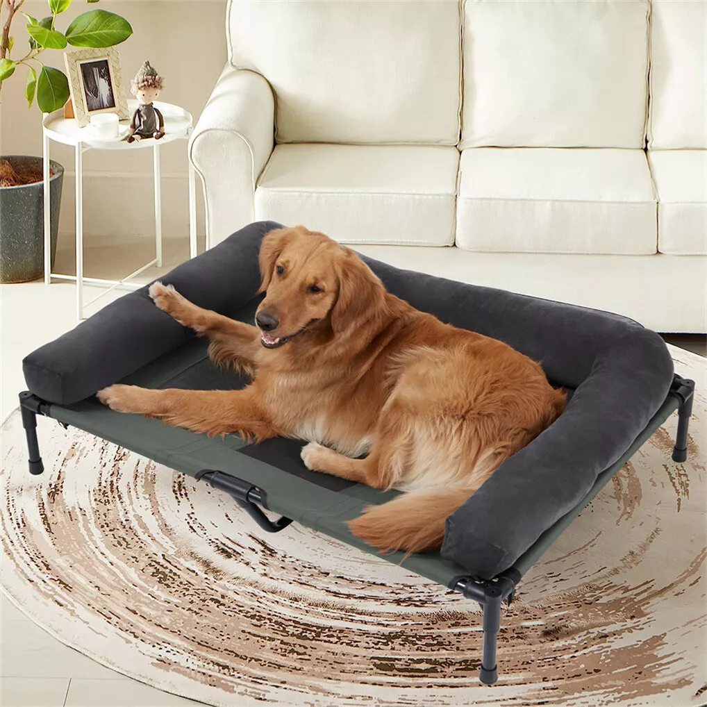 BINGOPAW Outdoor Dog Bed Eleva - Bed Outdoor Camping recension och pris