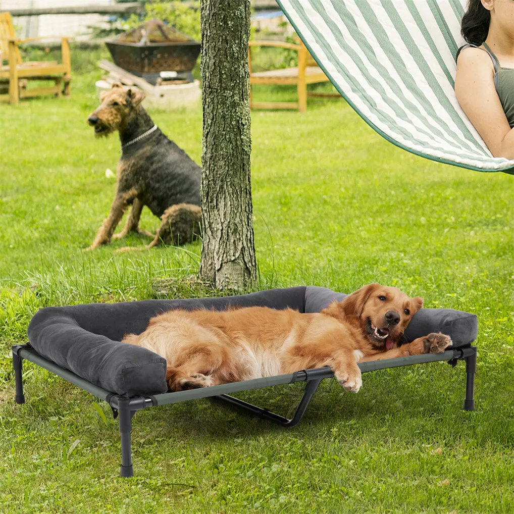 BINGOPAW Outdoor Dog Bed Eleva - Bed Outdoor Camping recension och pris