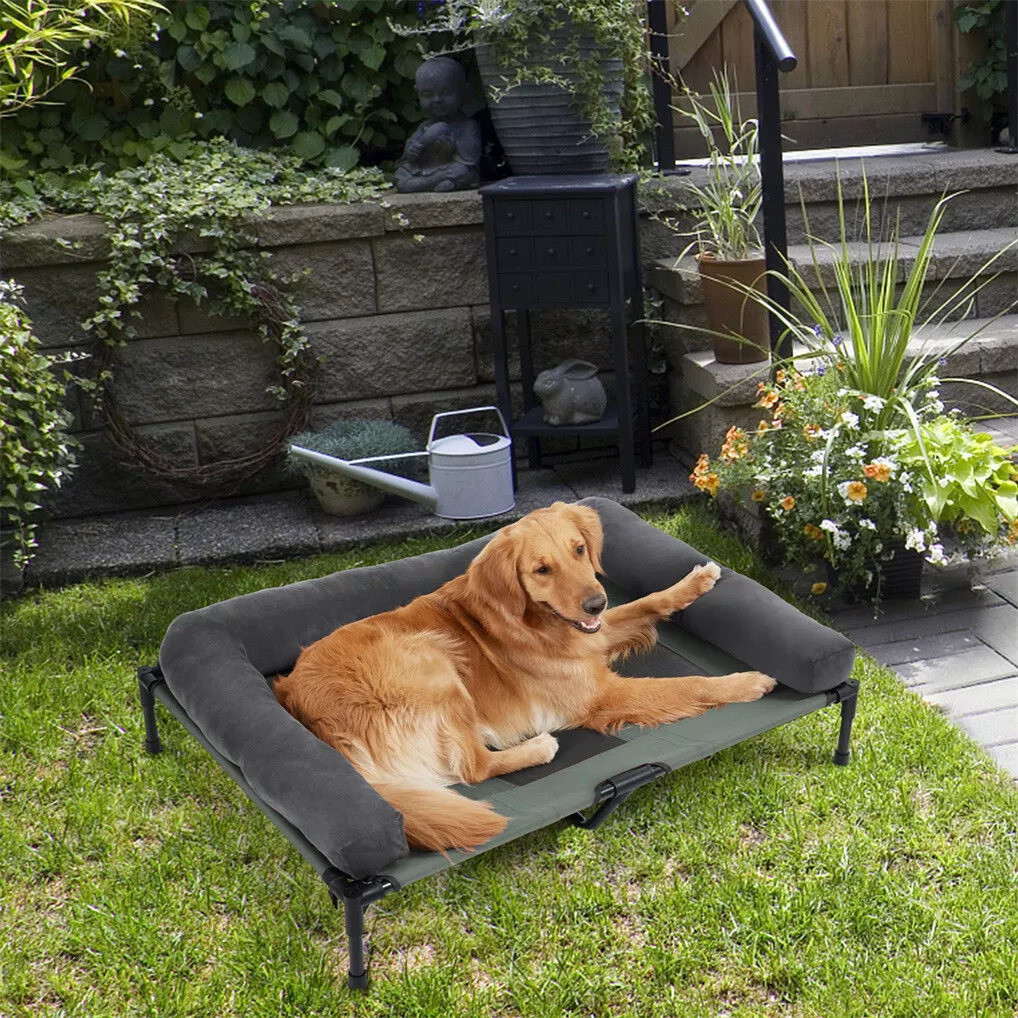 BINGOPAW Outdoor Dog Bed Eleva - Bed Outdoor Camping recension och pris